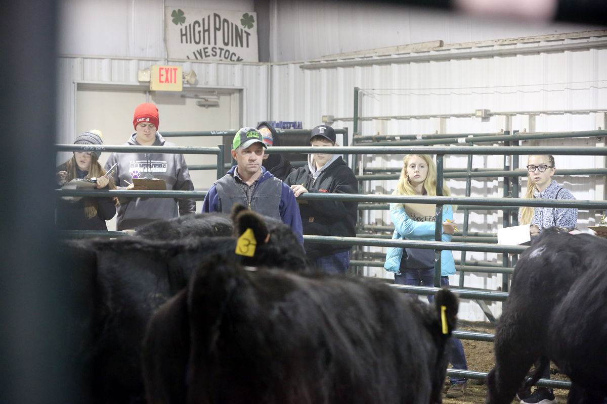 FFA Livestock Judging (7).JPG
